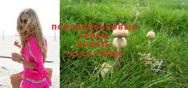 винт Осинники