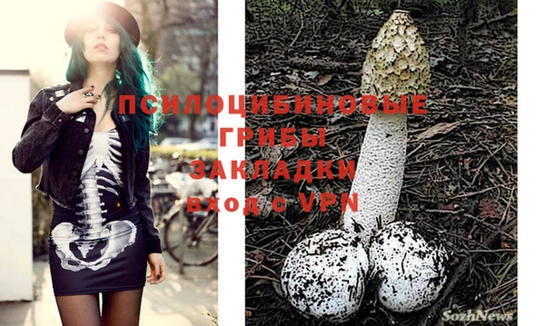 винт Осинники