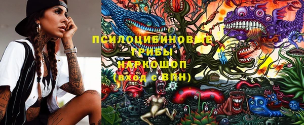 экстази Осташков