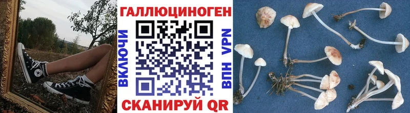 Псилоцибиновые грибы GOLDEN TEACHER магазин Кукмор